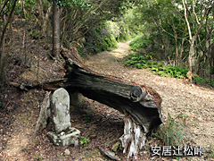 （写真）安居辻松峠