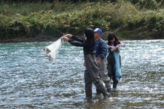 小鷹網漁