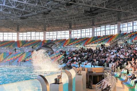 R8白浜町20歳を祝う会