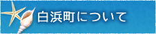 白浜町について